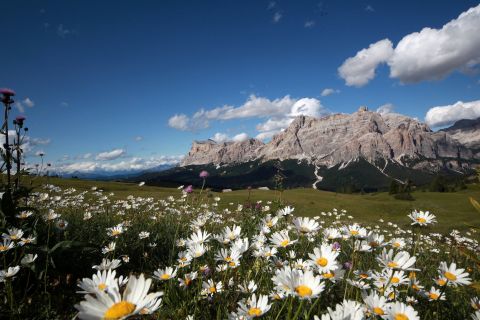 Image: La Villa, Alta Badia
