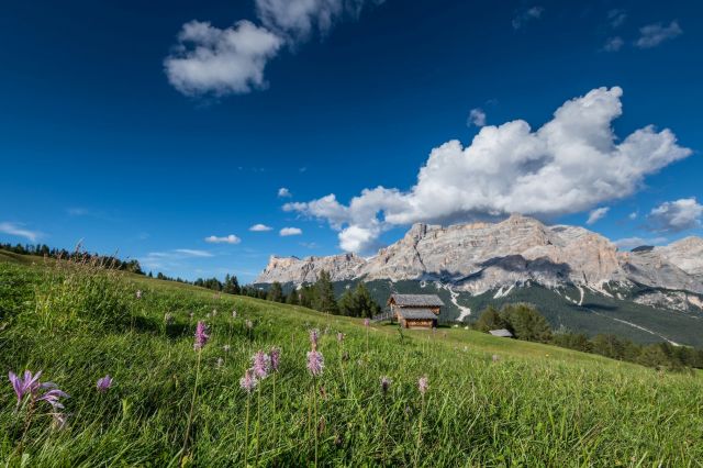 Image: Apartments in Alta Badia