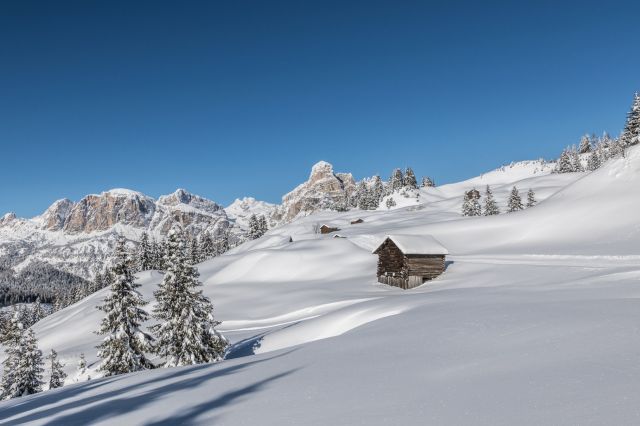 Image: Apartments in Alta Badia
